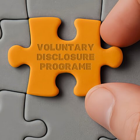 voluntary disclosure program